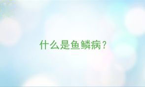 如何预防鱼鳞病的反复发作